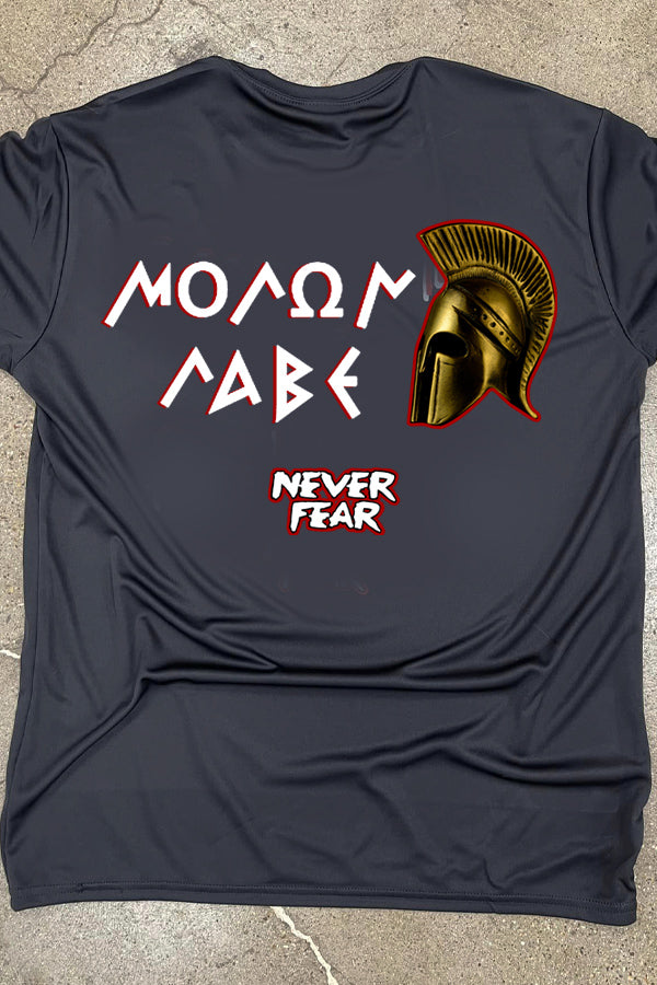 Never Fear - Molon Labe