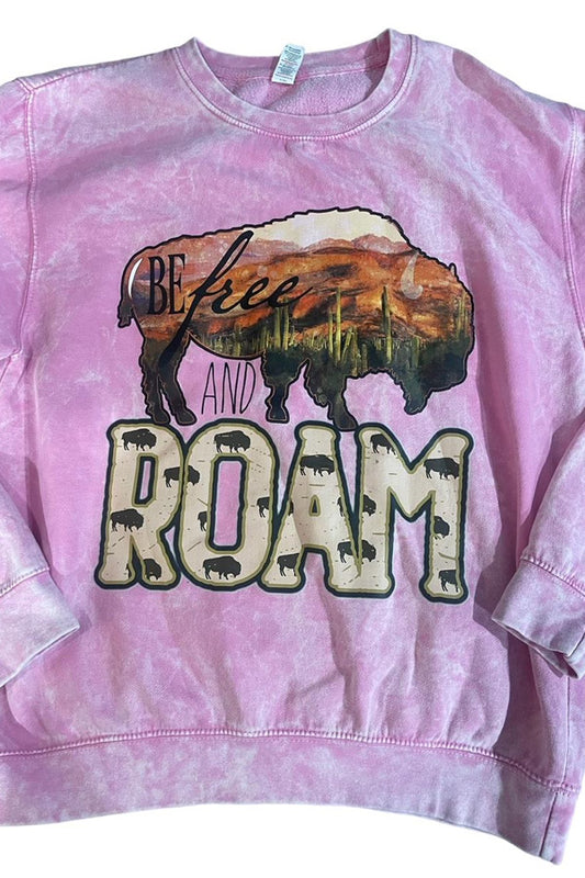 Be Free and Roam Mineral Wash Sweatshirt