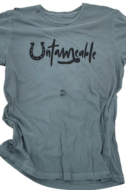 Untameable Destroyed Tee